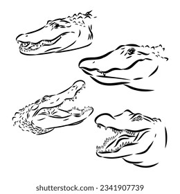 Alligator illustration in doodle style. Vector isolated on a white background.