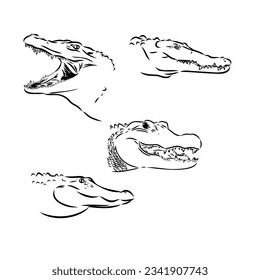 Alligator illustration in doodle style. Vector isolated on a white background.