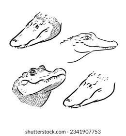 Alligator illustration in doodle style. Vector isolated on a white background.