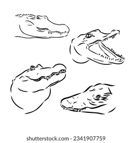 Alligator illustration in doodle style. Vector isolated on a white background.