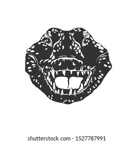 Alligator isolated on white. Vector illustration.