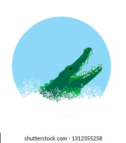 Alligator leaping out of the water