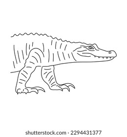 Alligator in line art drawing style. Vector illustration.