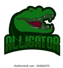 Alligator mascot, team logo design, angry crocodile isolated