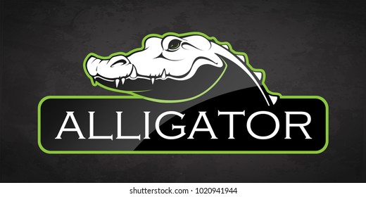 Alligator on a black background. Vector illustration