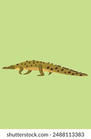 An alligator on a green background
