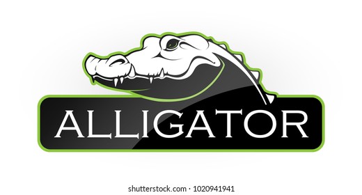 Alligator On A White Background. Vector Illustration