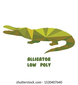 Alligator. Polygonal vector illustration isolated on white background. Low poly