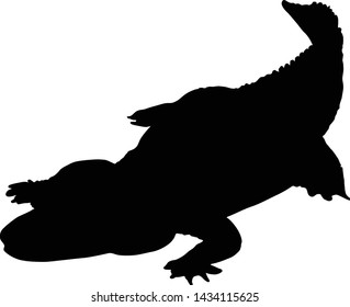 Alligator Silhouette Isolated On White