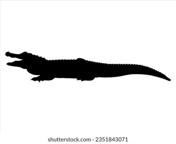 Alligator silhouette vector art white background