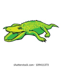 Alligator Skeleton