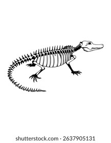 Alligator Skeleton: A Detailed Vector Illustration of a Reptilian Skeleton