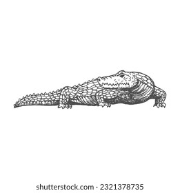 Esbozo de lagarto, animal antiguo de cocodrilo azteca, icono de reptile vintage. Monstruo marino vectorial, cocodrilo retro con garras, criatura mitológica