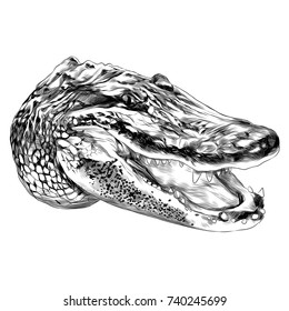 alligator sketch vector graphics head black-and-white monochrome pattern