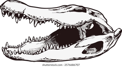 Alligator Skull Digital Hand drawn Line art Sketch Vector illustration black and white