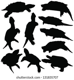 Alligator Snapping Turtle Silhouettes (Macrochelys temminckii)