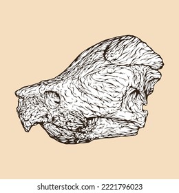 alligator snapping turtle skull head vector illustration