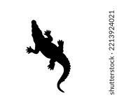 Alligator stock illustration on white background