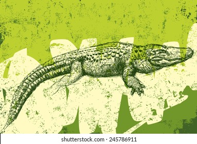 Alligator texture background An American alligator over an abstract background.