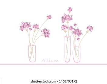 Allium. Blooming decorative onion. Lilac spherical flowers from the garden. Vase with a bouquet.