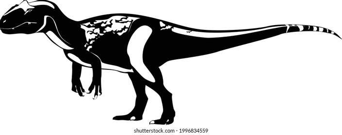 Allosaurus is a carnivorous dinosaur. Vector illustration