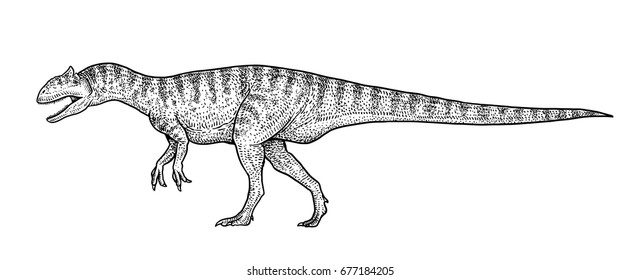 Allosaurus illustration, drawing, engraving, ink, line art, vector