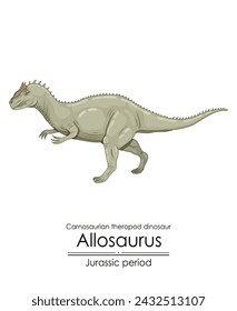 Allosaurus, a Jurassic period carnosaurian theropod dinosaur, a large carnivorous predator. 