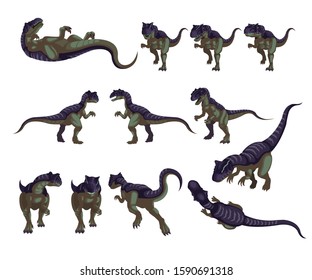Allosaurus was a large bipedal predator. Its skull was large and equipped with dozens of sharp, serrated teeth. It averaged 9.5 metres (31 ft) in length