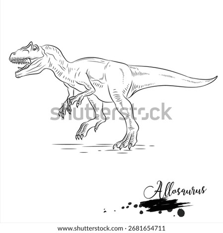 Allosaurus, realistic dinosaur drawing, vector illustration