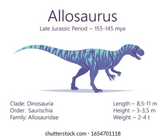 Allosaurus. Theropoda dinosaur. Colorful vector illustration of prehistoric creature allosaurus and description of characteristics and period of life isolated on white background. Fossil dino.