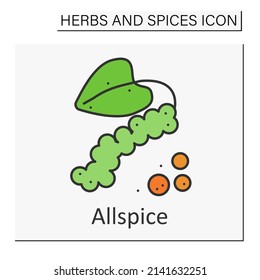 Allspice color icon. Dried aromatic fruit. Traditional seasoning for dishes. Strong-smelling condiment.Herbs and spices concept. Isolated vector illustration