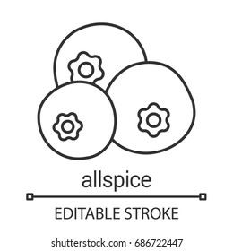 Allspice, pimento linear icon. Thin line illustration. Flavoring, seasoning. Contour symbol. Vector isolated outline drawing. Editable stroke