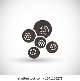 Allspice Vector Icon