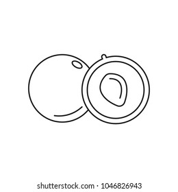 Alma icon. Outline alma vector icon for web design isolated on white background