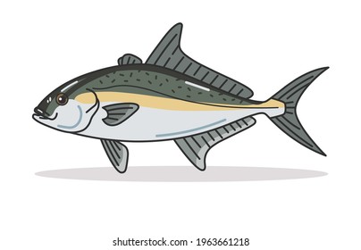 Almaco Jack fish design Illustration vector art