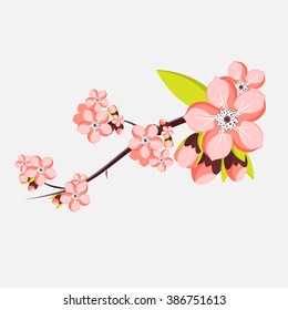 almond or apricot branch in blossom. Vector illustration