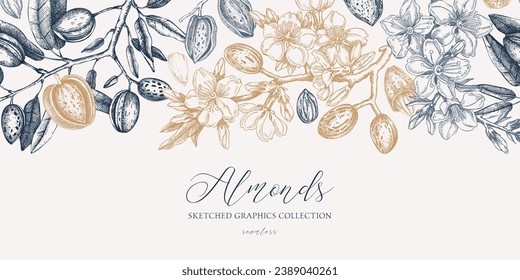 Almond background. Blooming branches, almond nuts, flowers, leaves sketches. Hand drawn vector illustration. Vintage seamless pattern. Spring trees border