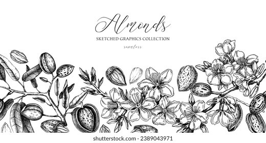 Almond background. Blooming branches, almond nuts, flowers, leaves sketches. Hand drawn vector illustration. Vintage floral design. Spring trees border