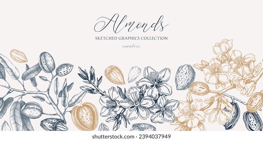 Almond background. Blooming branches, almond nuts, flowers, leaves sketches. Hand drawn vector illustration. Vintage floral design. Spring trees border