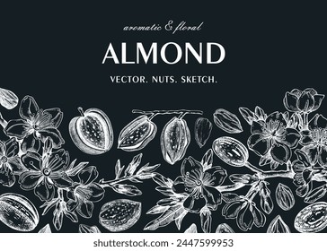 Almond banner design. Spring background. Blooming  branches, nuts, flower sketches on chalkboard. Healthy food hand-drawn illustration of almond nuts. NOT AI generated