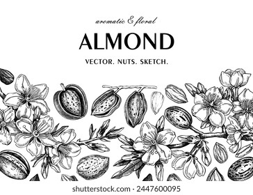 Almond banner design. Spring background. Blooming  branches, nuts, flower sketches. Botanical hand-drawn illustration of almond nuts. NOT AI generated