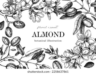 Diseño de marco de flores de almendra con estilo grabado. Ramas floridas con nueces, flores, hojas. Dibujos florales aislados sobre fondo blanco. Ilustración vectorial botánica de los árboles de nueces primaverales para impresión