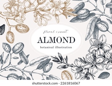 Almond blossom frame design in engraved style. Flowering branches with nuts, flowers, leaves background. Vintage floral drawing. Botanical vector illustration of spring nut tree for banners, prints