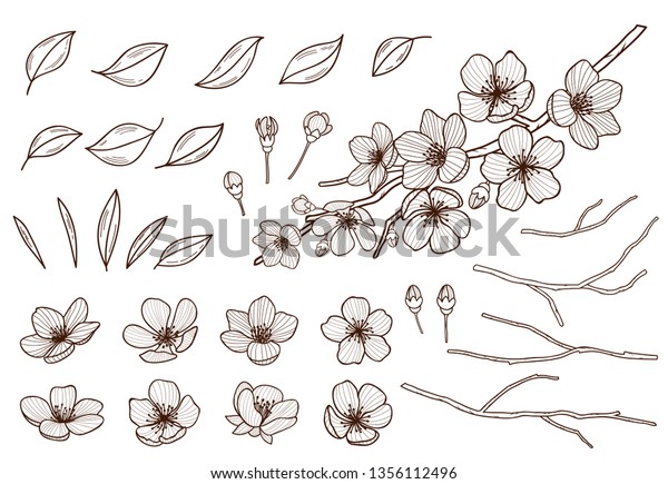 Almond Blossoms Hand Drawn Set Spring Stock Vector (Royalty Free ...