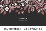 Almond border. Vector pattern of tree, branch, fruit, organic nut, leaves, flower in bloom. Art floral design, vinrage illustration on black background. Farm raw plantation, healthy food
