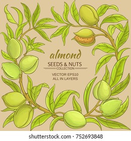 almond branches vector frame on color background