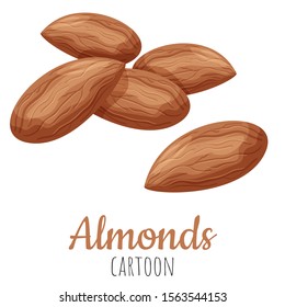 Almond cartoon vector illustration, isolated close-up realistic colorful nut.