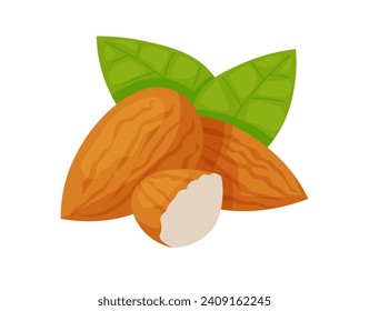 Almond clipart. Isolated bunch of nuts in cartoon. Vector illustration of a still life