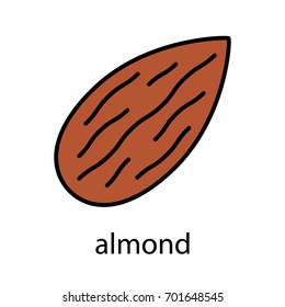 Almond color icon. Isolated vector illustration