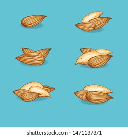 Almond colorful nut compositions with shadow on a blue turquoise background. Nut with and without nut shell. Hand drawn vector illustration set (collection, bundle).